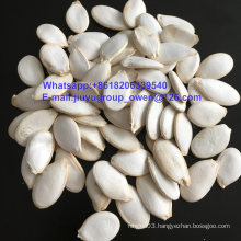 Organic Snow White Pumpkin Seeds